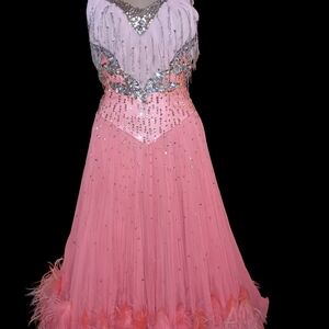 Elegant Pink and Silver Gown with Feather Details